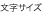 文字サイズ